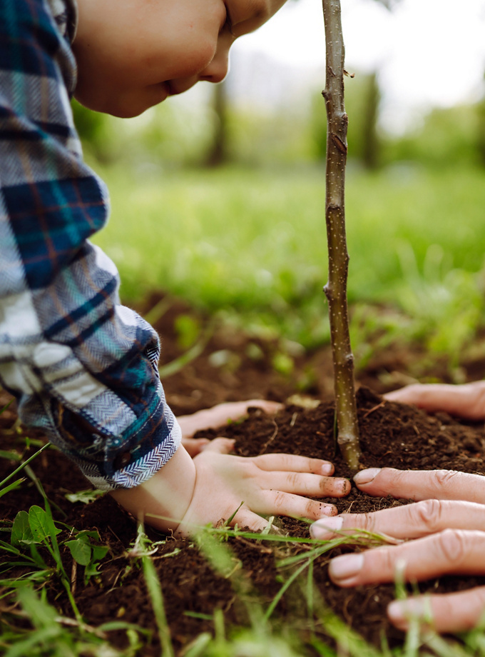 Planting a tree encouraging environmental awareness